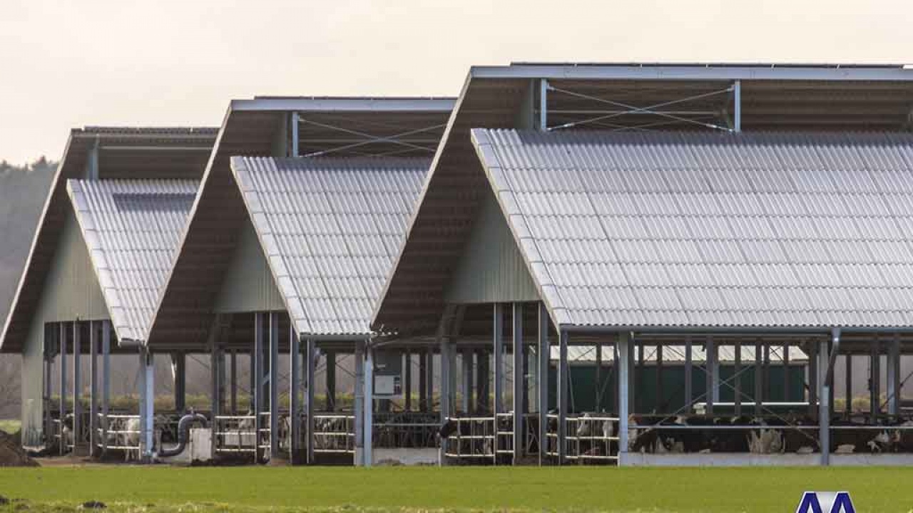 Essential Factors To Consider When Building A Horse Barn